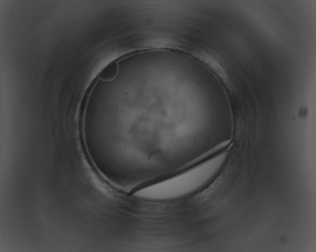 X0000091541039200708311327