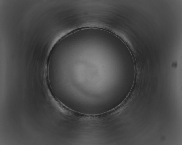 X0000091541040200708311327
