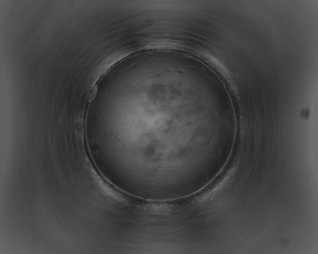 X0000091541041200708311327