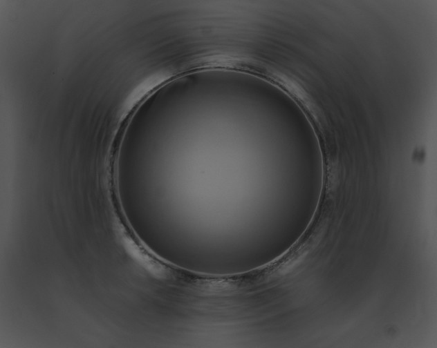 X0000091541042200708311327