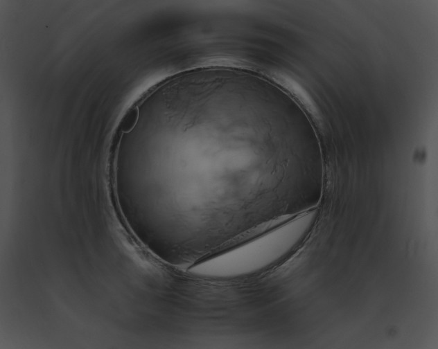 X0000091541043200708311327
