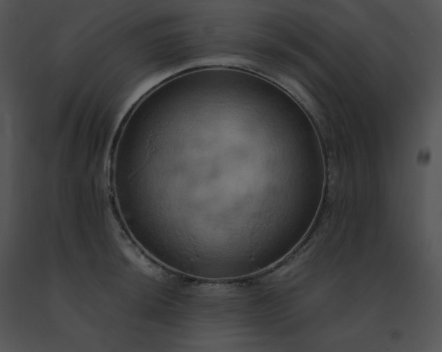 X0000091541044200708311327