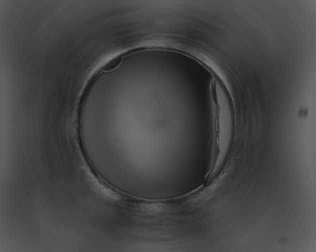 X0000091541045200708311327