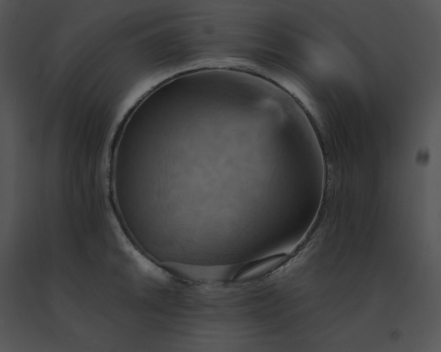 X0000091541046200708311327