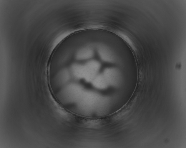 X0000091541047200708311327