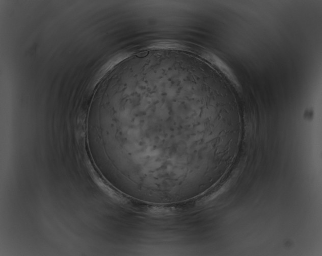 X0000091541049200708311327