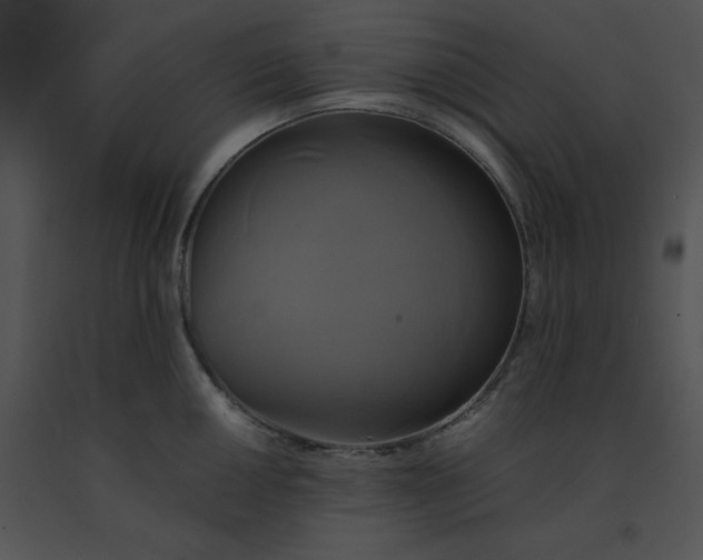 X0000091541050200708311327