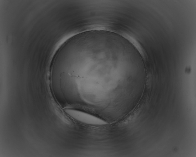 X0000091541051200708311327