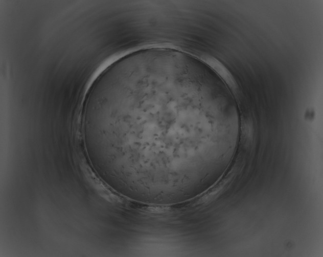X0000091541052200708311327