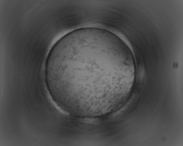 X0000091541053200708311327