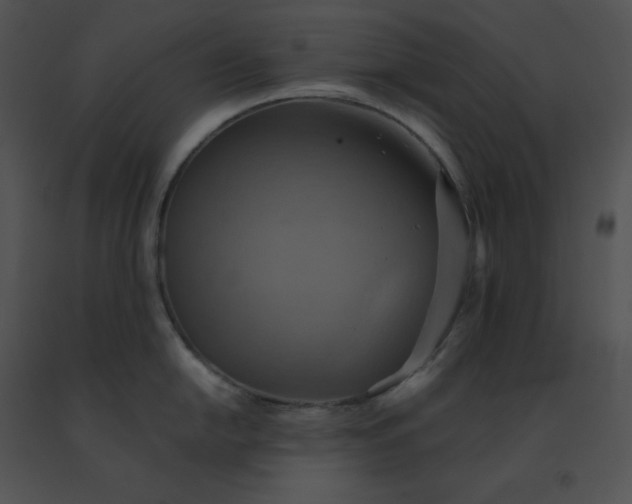 X0000091541054200708311327