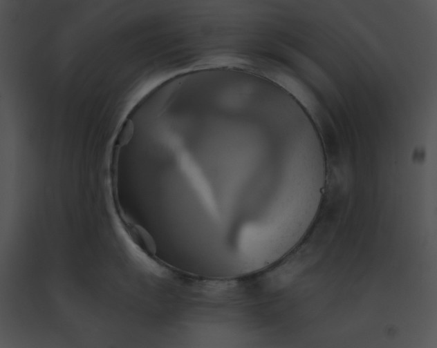 X0000091541055200708311327