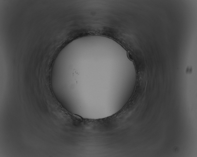 X0000091541057200708311327