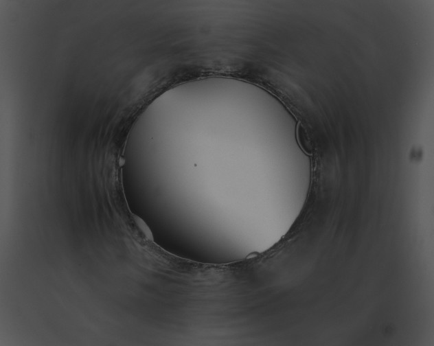 X0000091541058200708311327