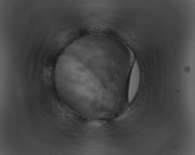 X0000091541059200708311327