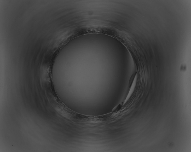 X0000091541060200708311327