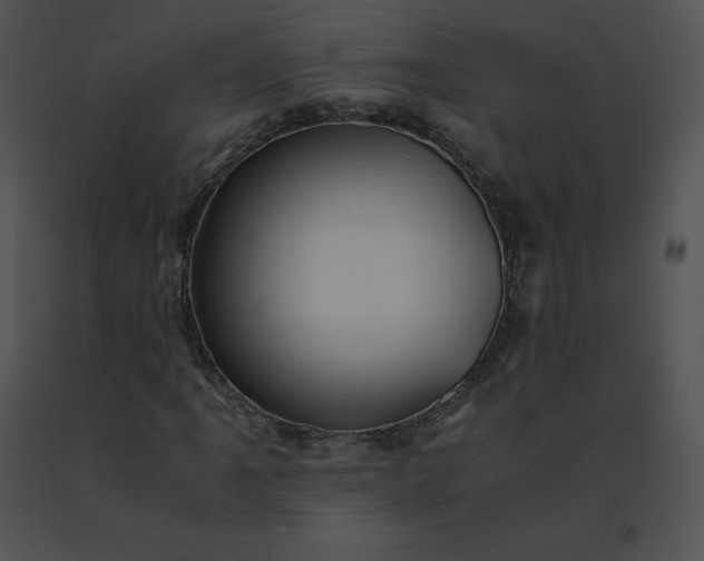 X0000091541061200708311327