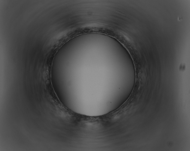 X0000091541062200708311327