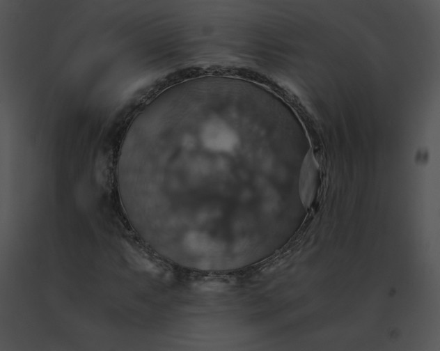 X0000091541063200708311327