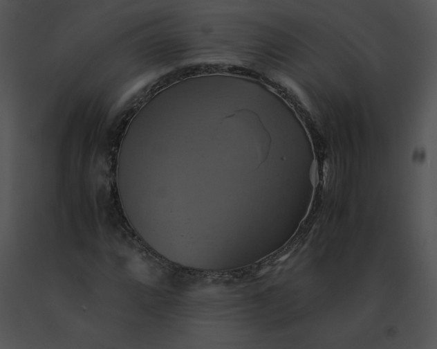 X0000091541064200708311327