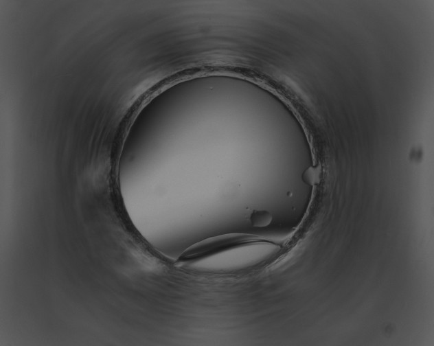 X0000091541065200708311327
