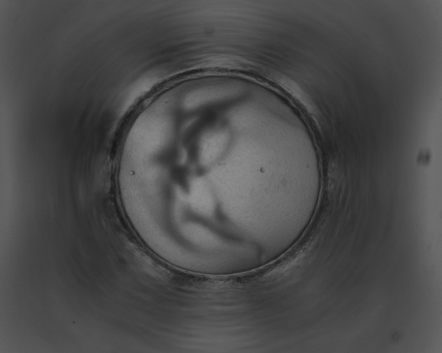 X0000091541067200708311327