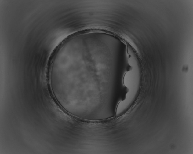 X0000091541068200708311327