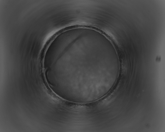 X0000091541070200708311327