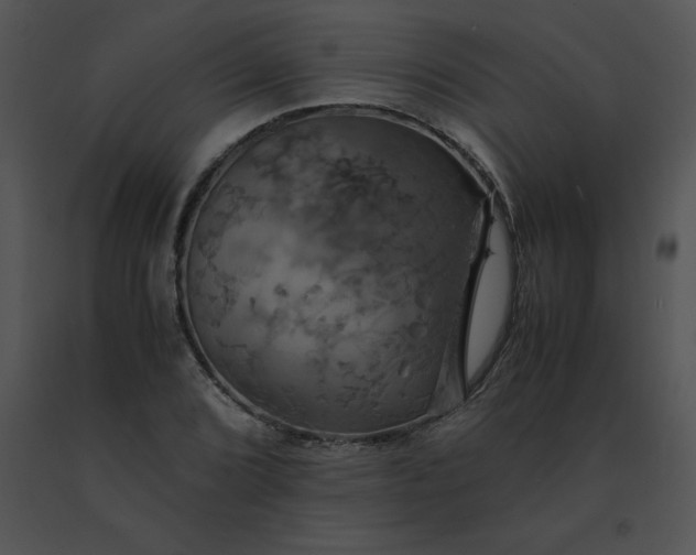 X0000091541072200708311327