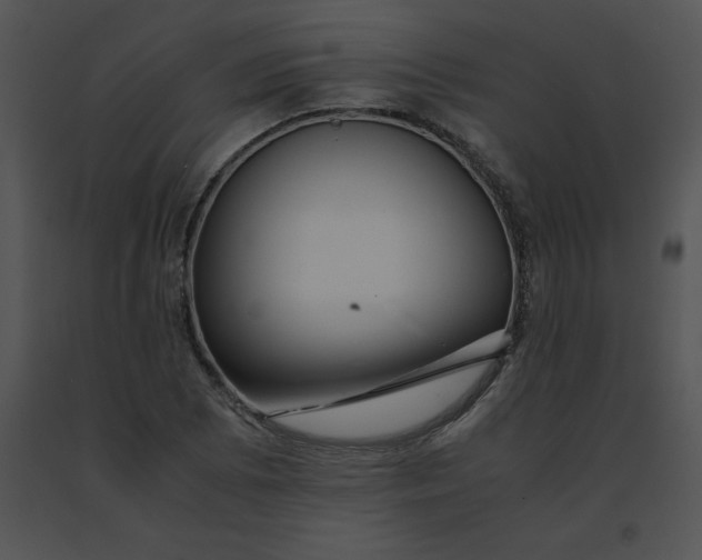 X0000091541073200708311327