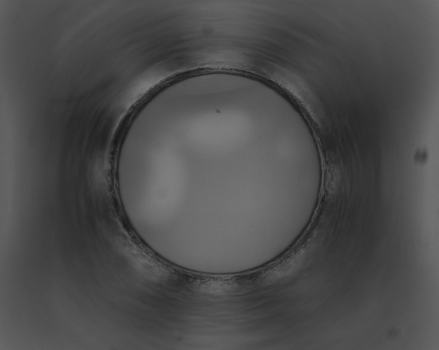 X0000091541074200708311327