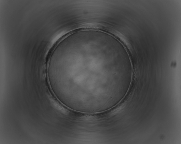 X0000091541075200708311327