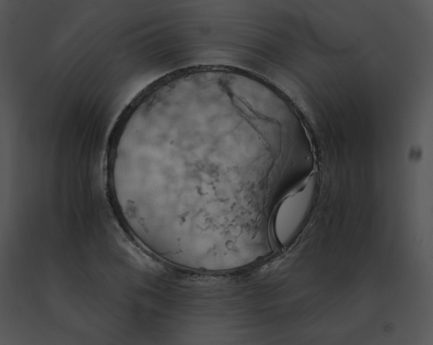 X0000091541076200708311326