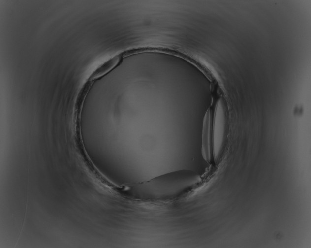 X0000091541077200708311326
