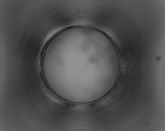 X0000091541078200708311326