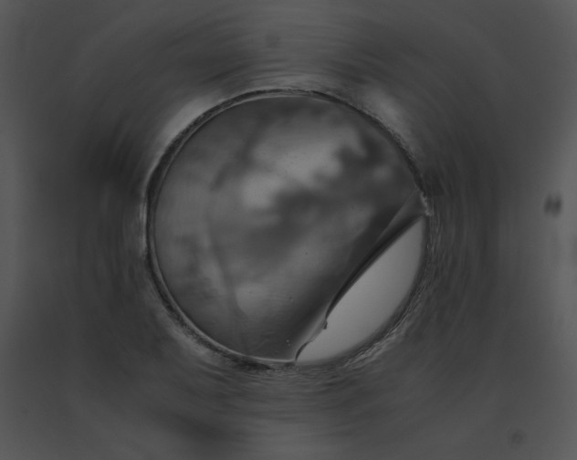 X0000091541079200708311326