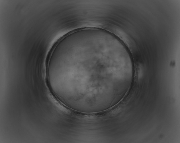 X0000091541080200708311326