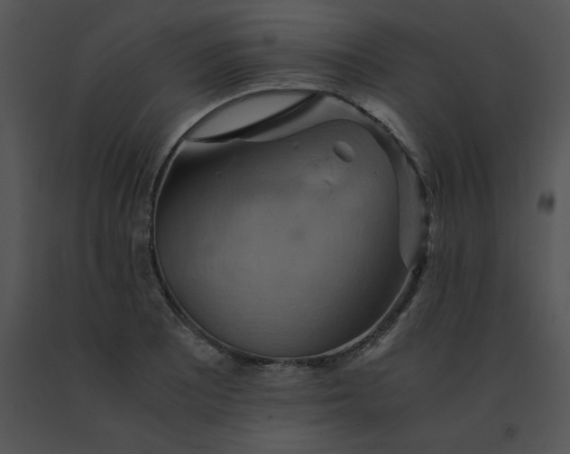 X0000091541081200708311326