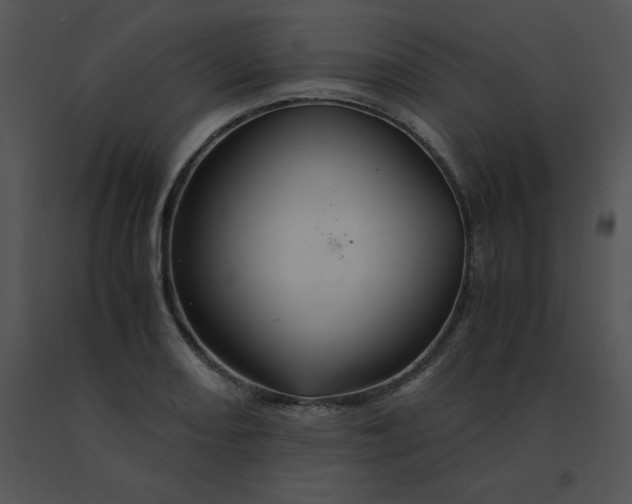 X0000091541082200708311326