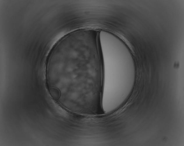 X0000091541083200708311326