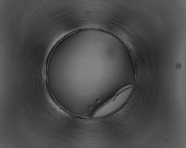X0000091541084200708311326