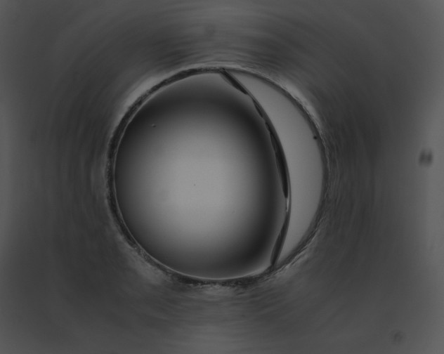 X0000091541085200708311326
