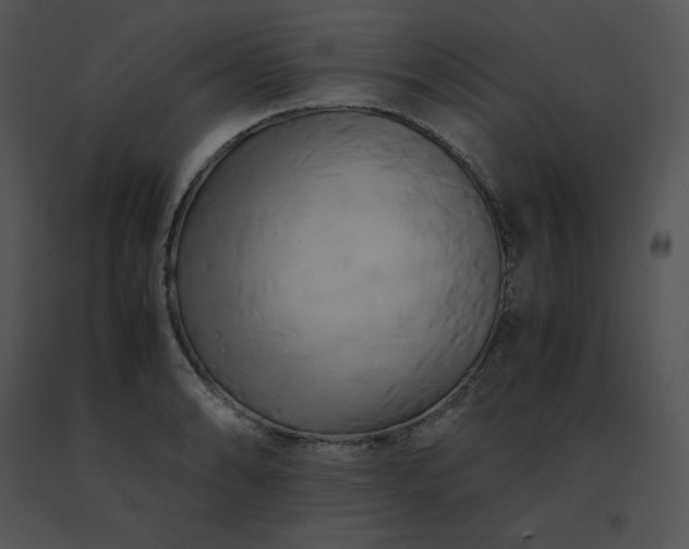 X0000091541086200708311326