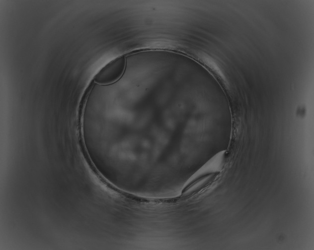 X0000091541087200708311326