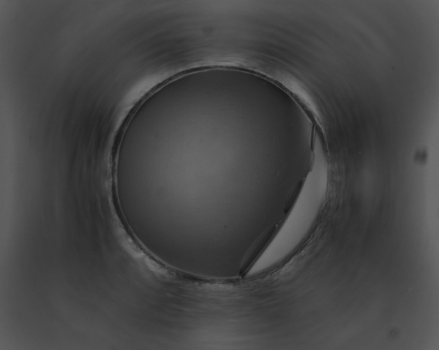 X0000091541088200708311326
