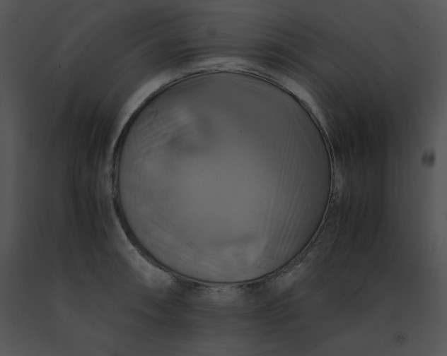X0000091541090200708311326