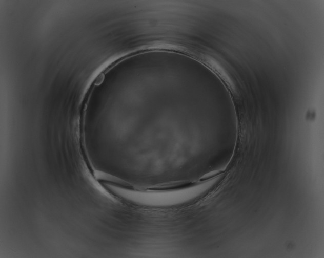 X0000091541092200708311326