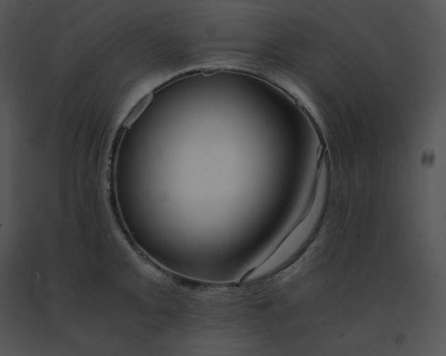 X0000091541093200708311326