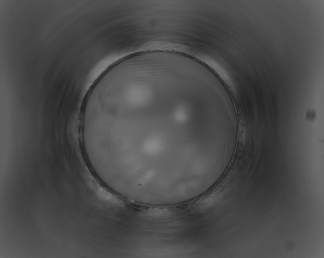 X0000091541094200708311326