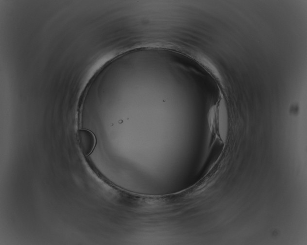 X0000091541095200708311326